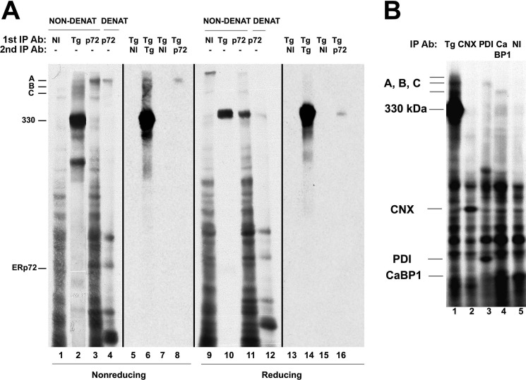 FIGURE 4.