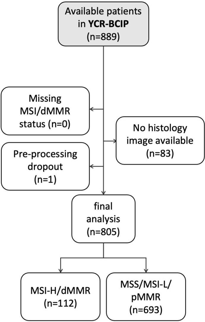 Extended Data Fig. 6