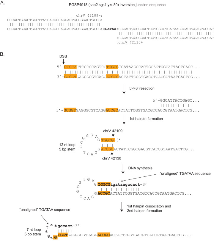 Figure 2—figure supplement 2.