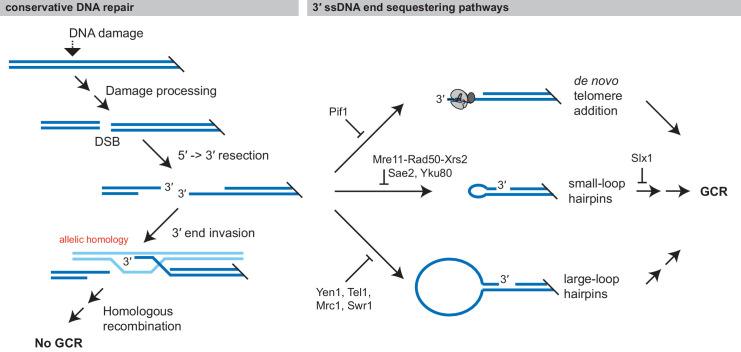 Figure 11.