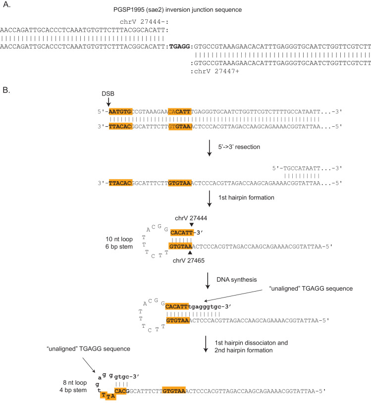 Figure 2—figure supplement 1.