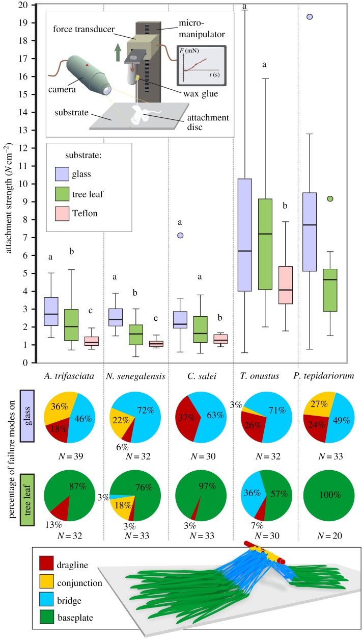 Figure 3.