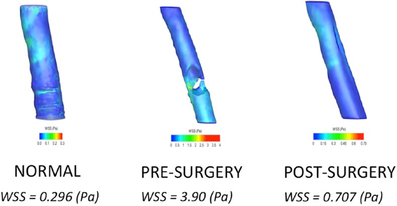 Figure 6.