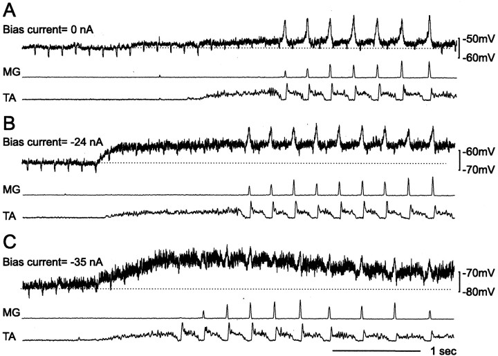 Fig. 5.