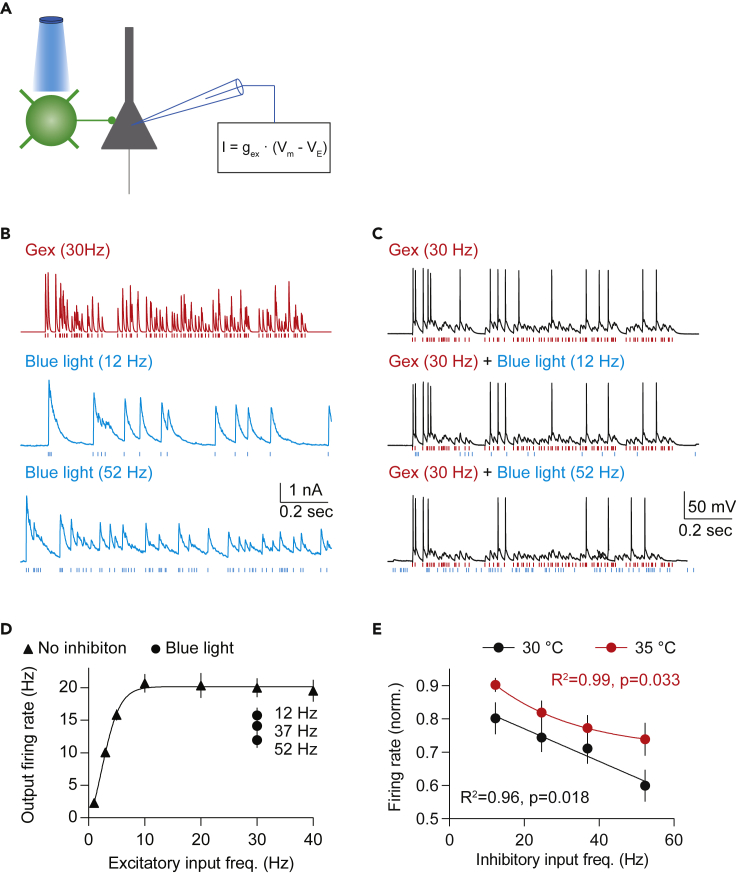 Figure 4