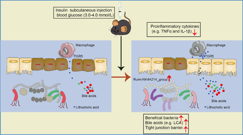 graphic file with name 12967_2023_4214_Figa_HTML.jpg