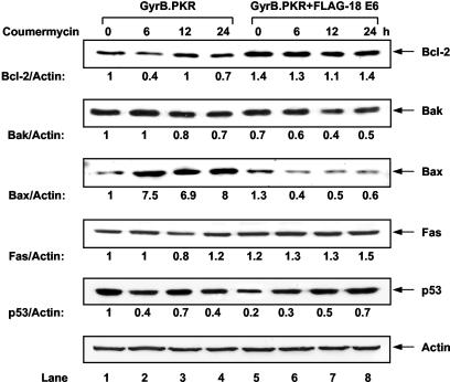 FIG. 7.