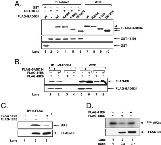 FIG. 6.