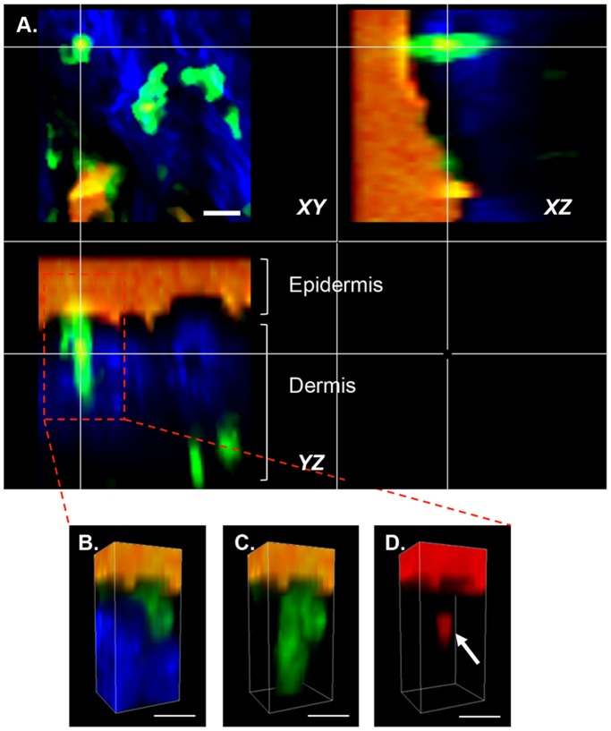 Figure 6