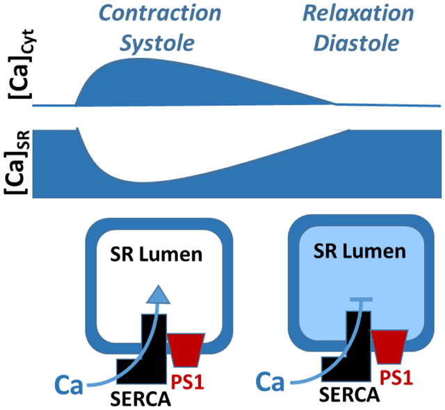 graphic file with name nihms-1739891-f0001.jpg