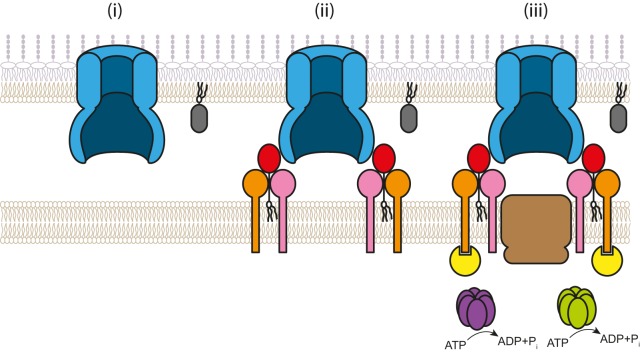 FIG 7