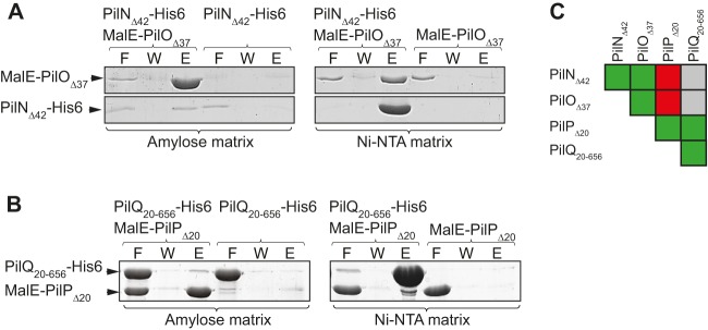 FIG 5