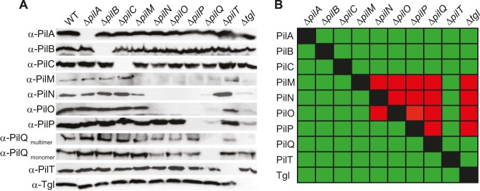 FIG 2