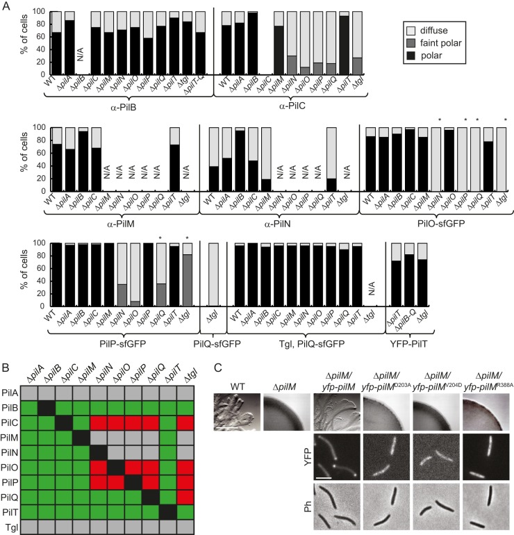 FIG 4