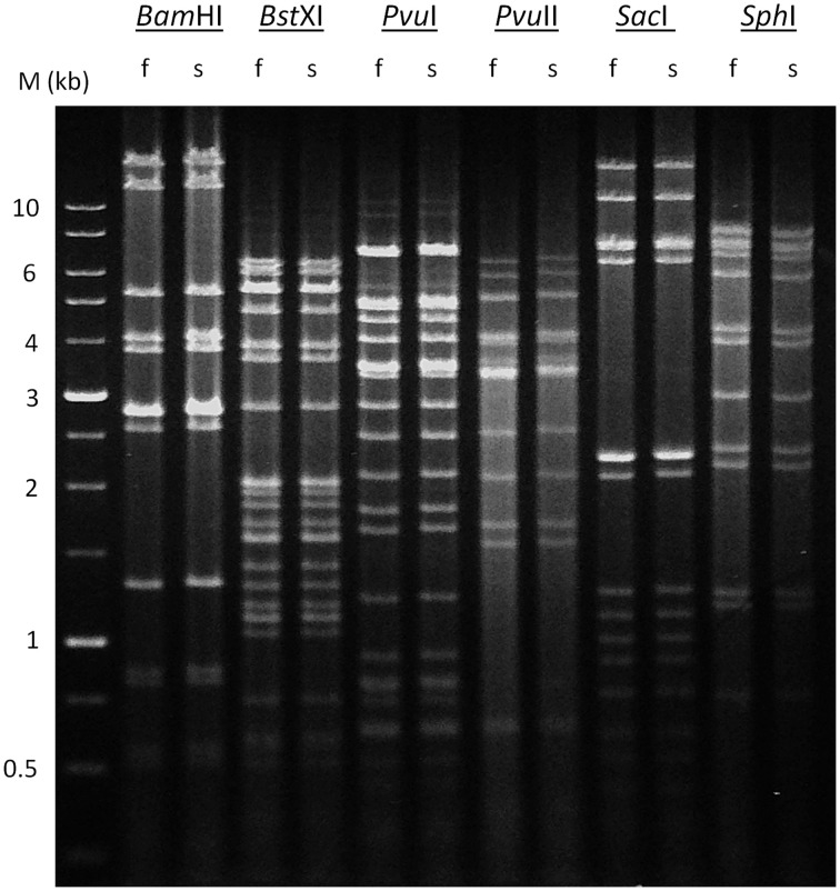 Figure 9