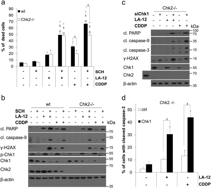 Supplementary Figure 3