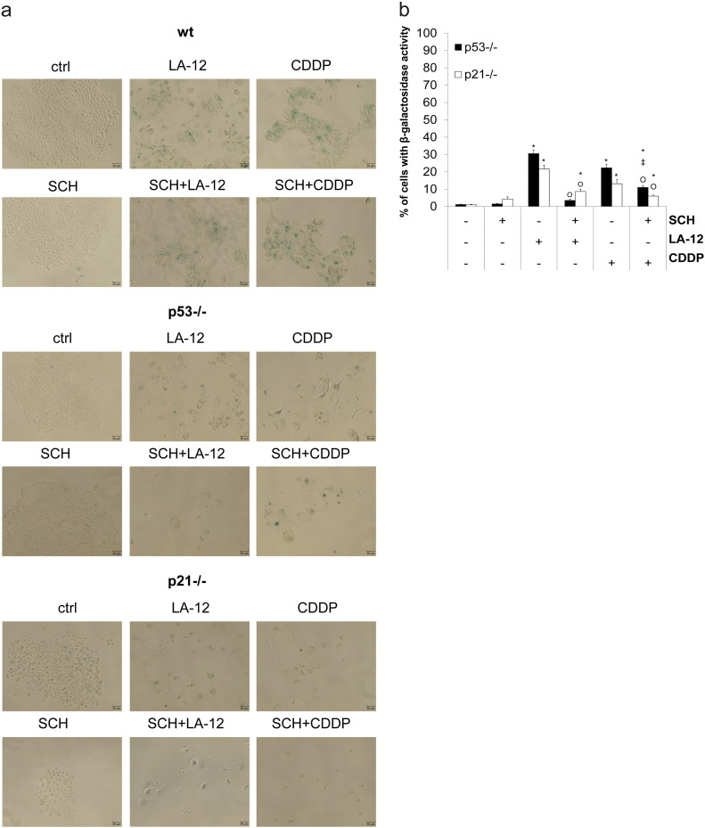 Supplementary Figure 13