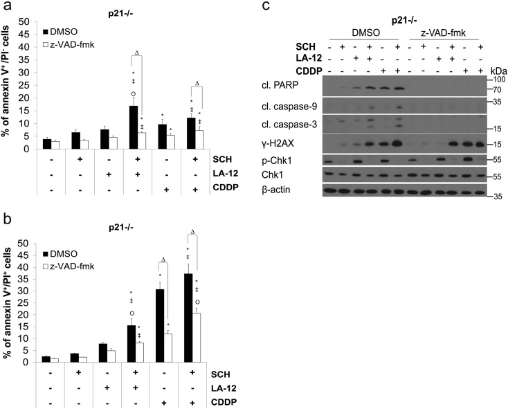 Supplementary Figure 6