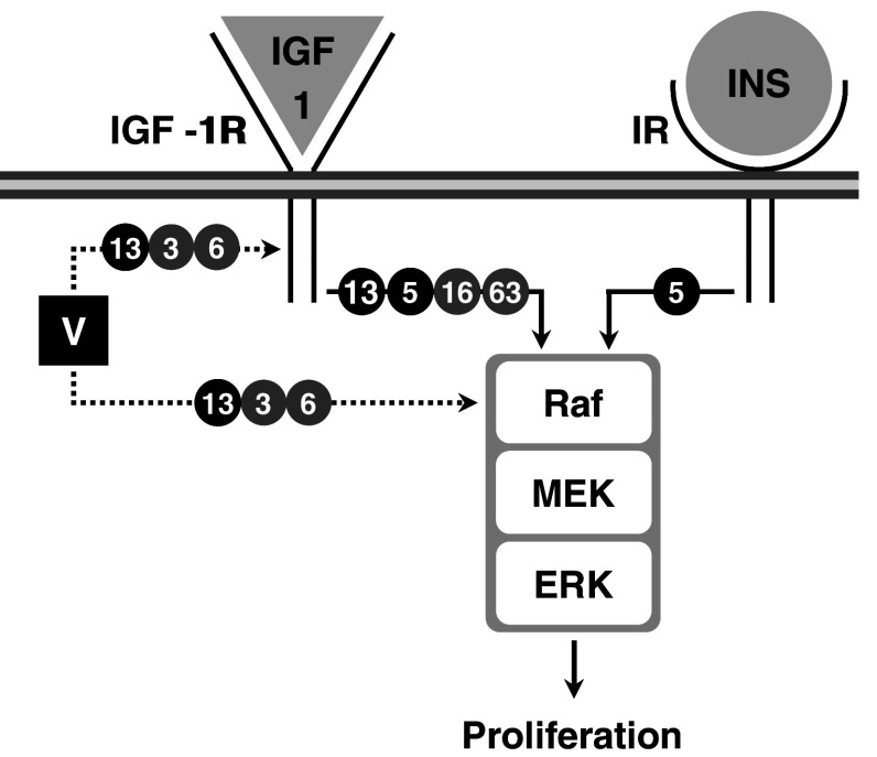 Fig. 2