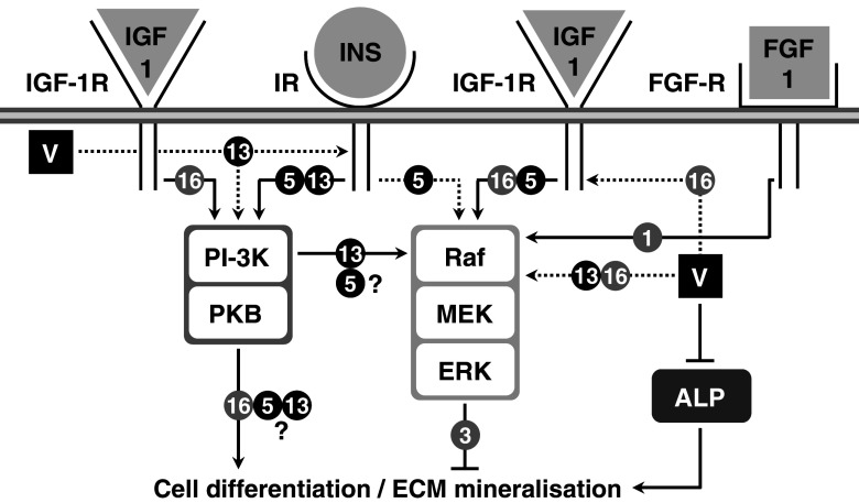 Fig. 3