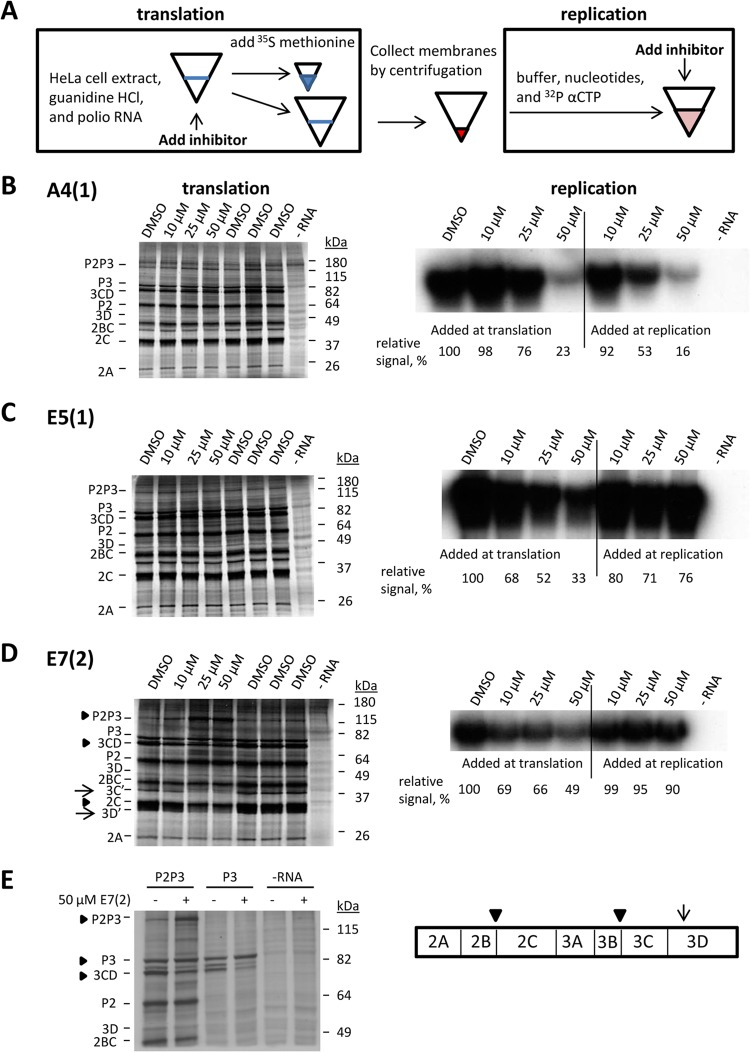 FIG 4