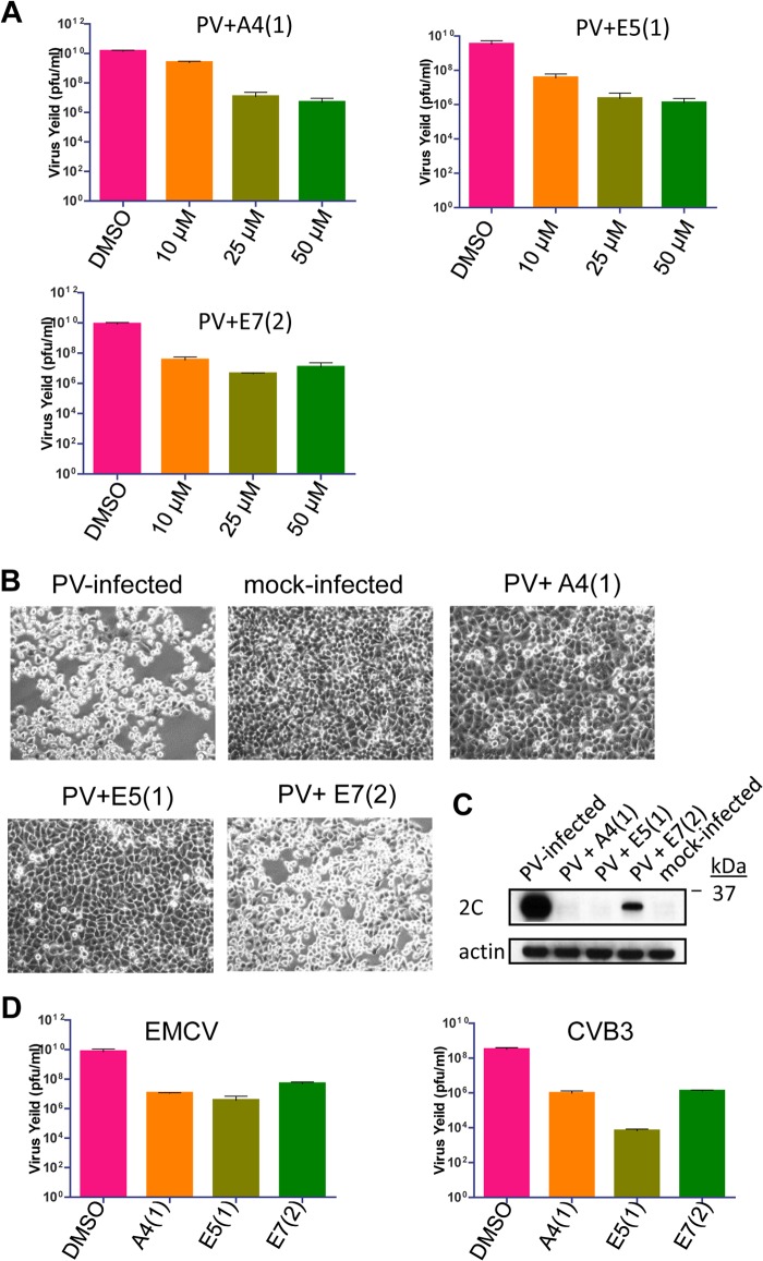 FIG 3