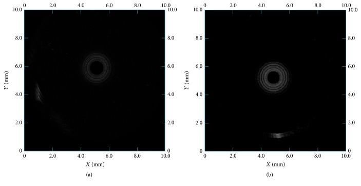 Figure 10