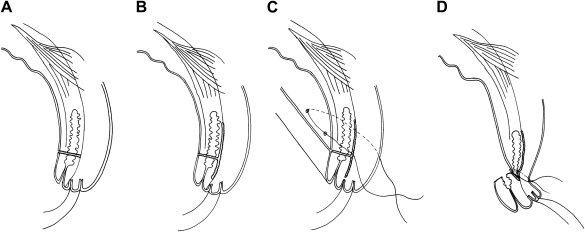 Fig. 4