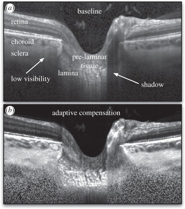 Figure 5.