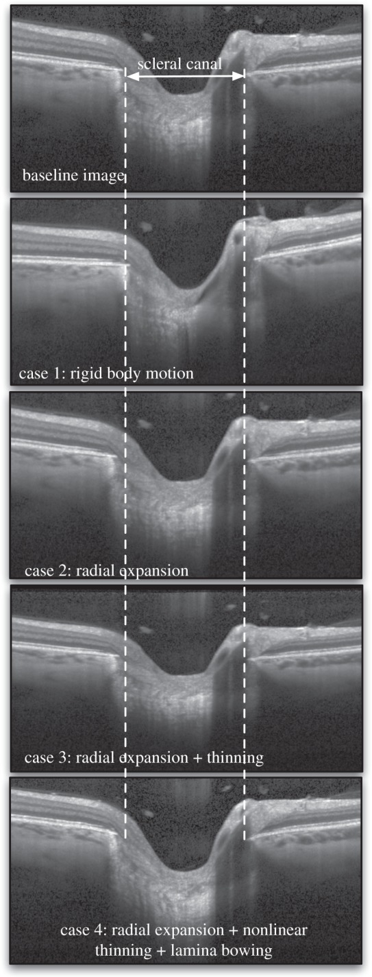 Figure 3.