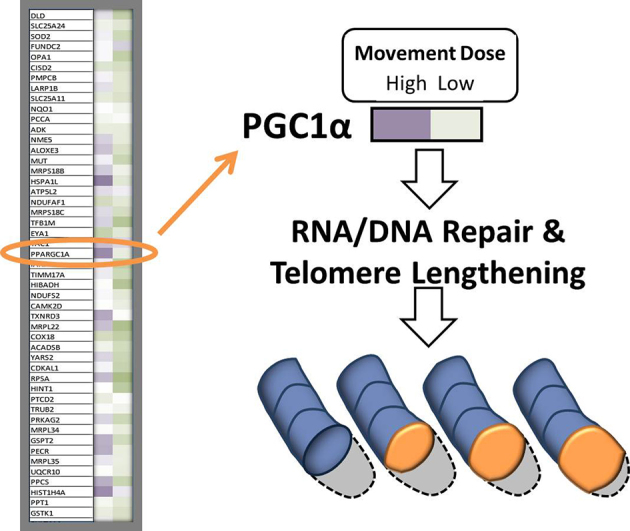 Figure 12.