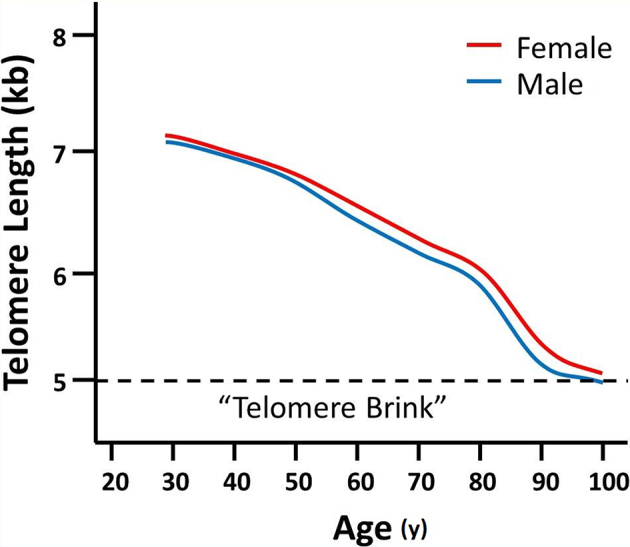 Figure 10.