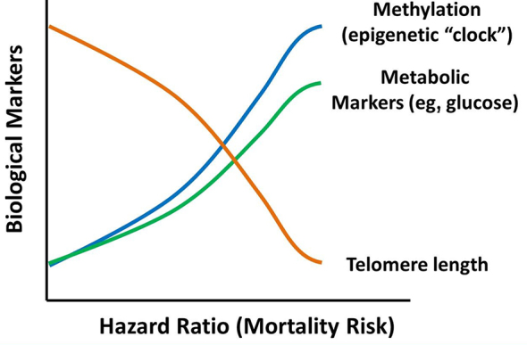 Figure 11.