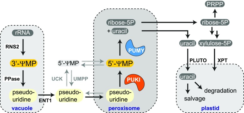 Figure 14.