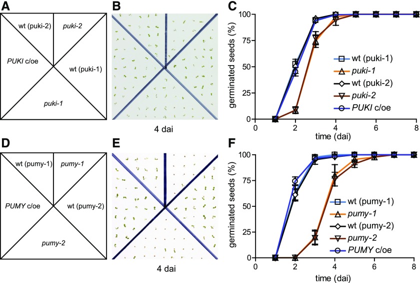 Figure 9.