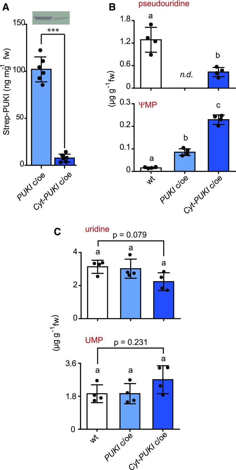 Figure 12.