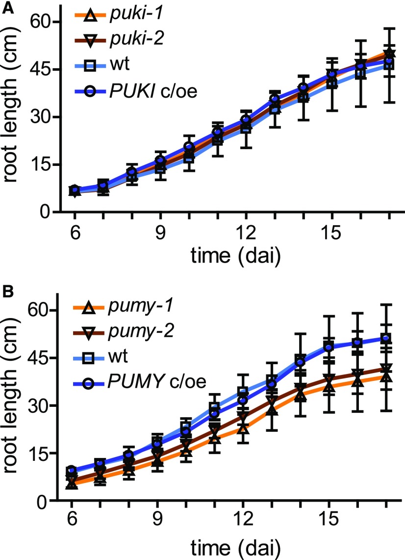 Figure 11.