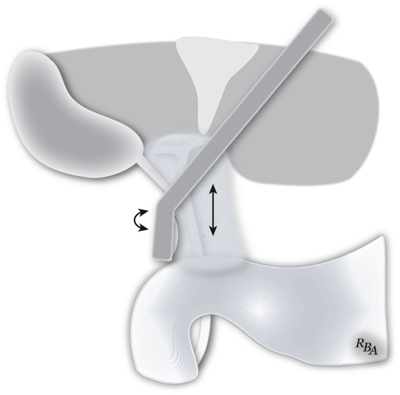 Fig 40