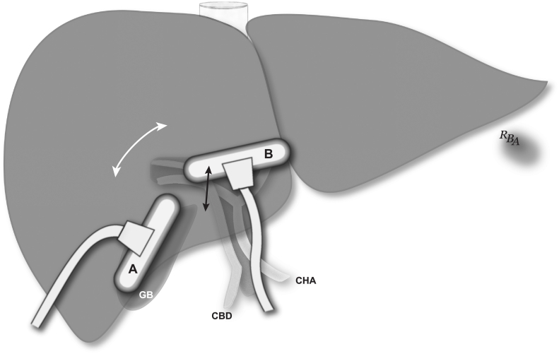 Fig 24