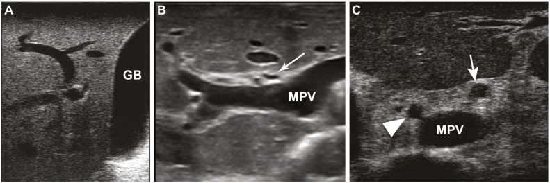 Fig 25