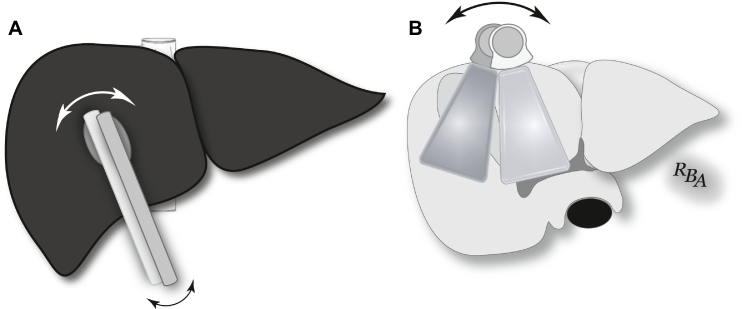 Fig 37