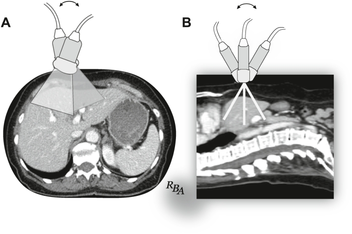 Fig 7