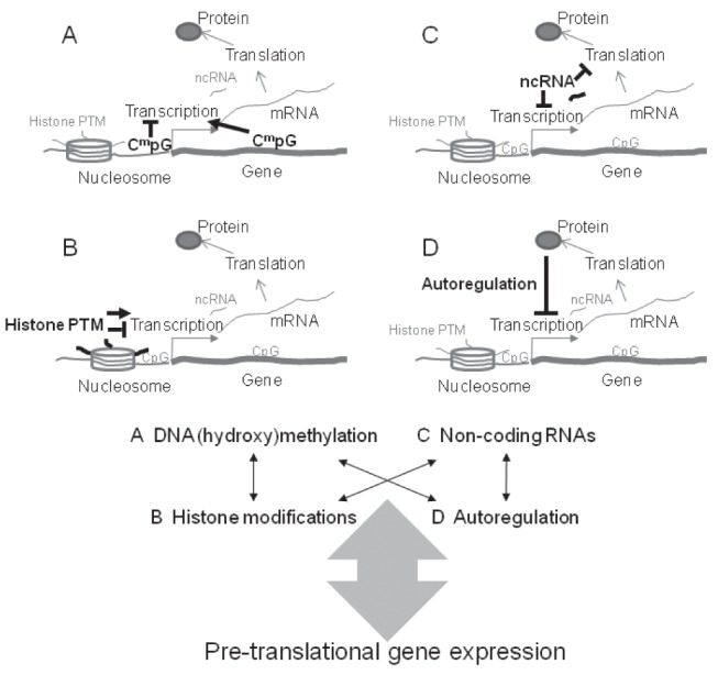 Figure 2)