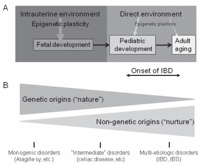 Figure 3)