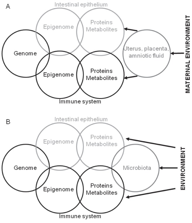 Figure 4)