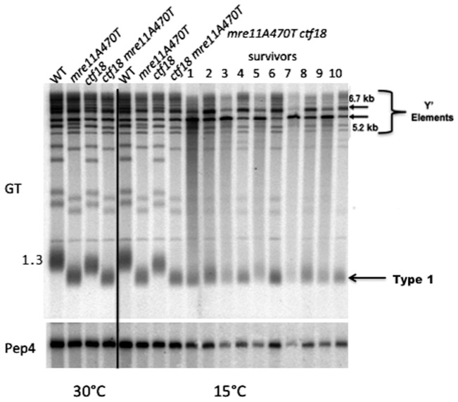 Figure 10