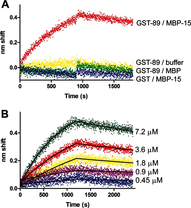 FIGURE 4: