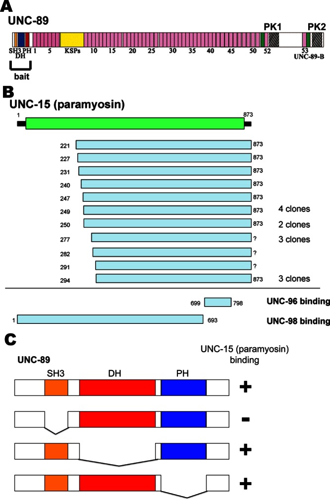 FIGURE 1: