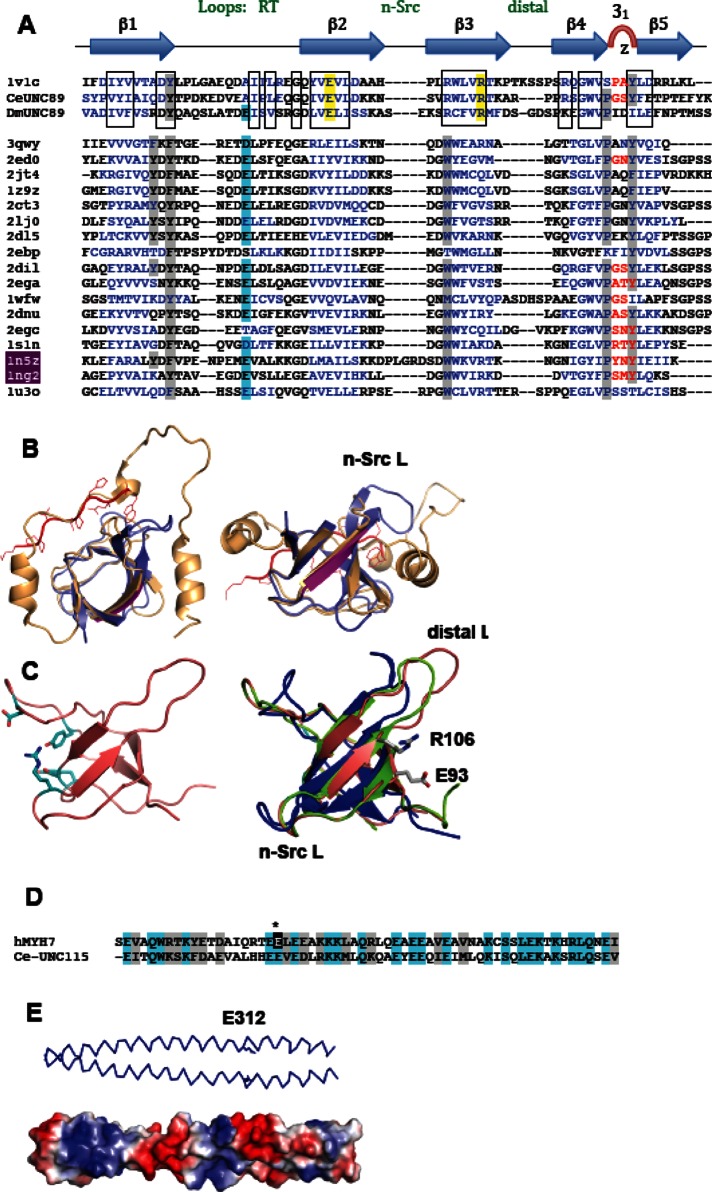 FIGURE 11: