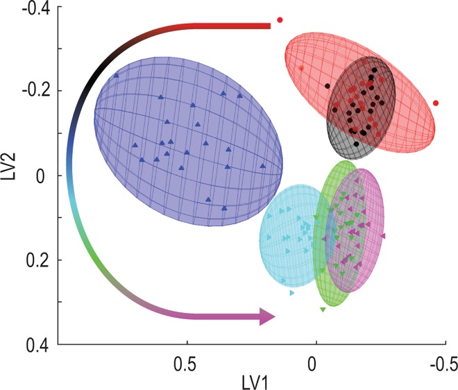 Fig 6